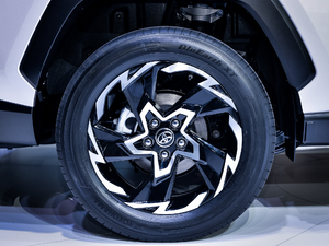 2020p 2.5L (q)A (x)(ji)^