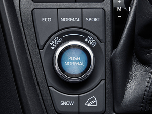 2020p 2.5L (q)A п؅^(q)