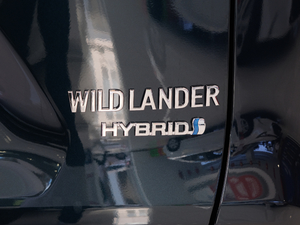 2020p 2.5L (q)Ƽ (x)(ji)^