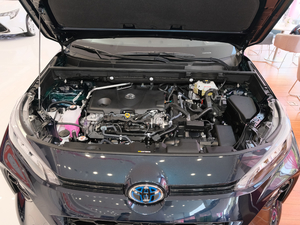 2020p 2.5L (q)Ƽ l(f)әC