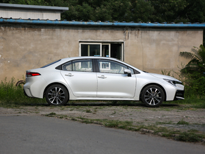 2021185T CVT\(yn)(dng) w^