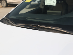 2021TNGA 1.5L IȰ ˢ