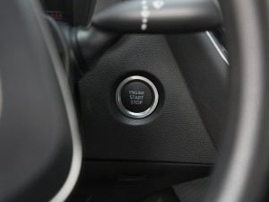 2021TNGA 1.5L A п؅^