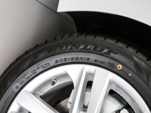 2021TNGA 1.5L A ݆̥ߴ