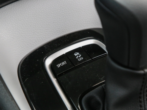 2021TNGA 1.5L A п؅^(q)