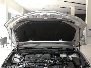 2021p 2.5HGVP I(lng)Ȱ 