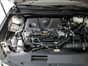 2021p 2.5HGVP I(lng)Ȱ 