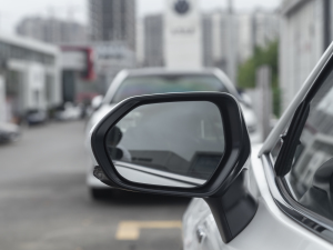 2021p 2.5HG A (x)(ji)^