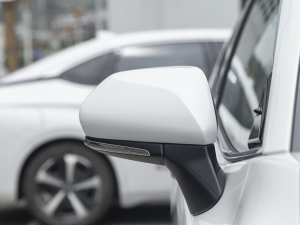 2021p 2.5HG A (x)(ji)^