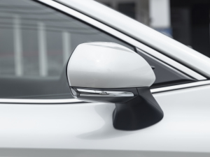 2021p 2.5HG A (x)(ji)^