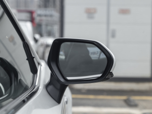 2021p 2.5HG A (x)(ji)^