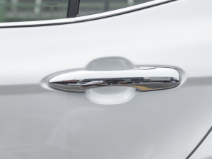 2021p 2.5HG A (x)(ji)^