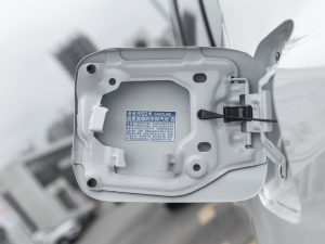 2021p 2.5HG A (x)(ji)^