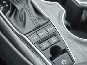 2021p 2.5HG A п؅^(q)