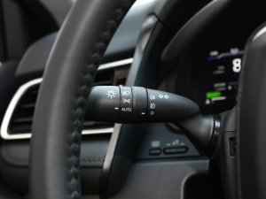 2021p 2.5HQ Ş п؅^