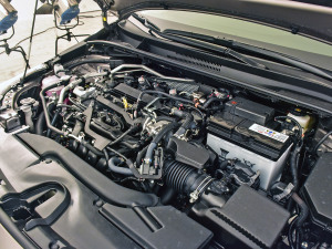 2021款2.0L 尊贵版 其它