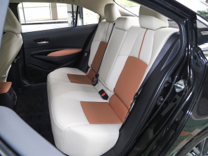 2021款2.0L 尊贵版 后排座椅
