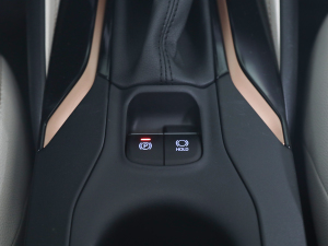 2021款2.0L 尊贵版 驻车制动器