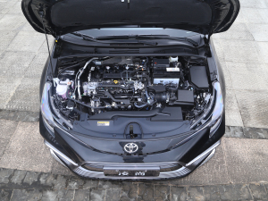 2021款2.0L 尊贵版 发动机