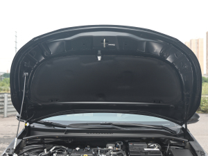 2021款2.0L 尊贵版 其它