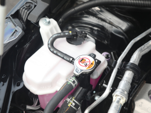 2021款2.0L 尊贵版 其它
