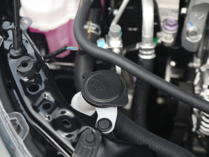 2021款2.0L 尊贵版 其它