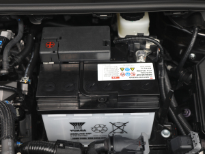2021款2.0L 尊贵版 其它