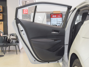 2021款2.0L 豪华版 左后车门