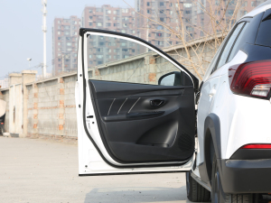 2021款致炫X 1.5L CVT豪华版 驾驶位车门
