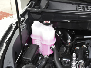 2021款2.0T 四驱尊贵版 7座 其它