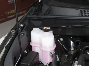 2021款2.0T 四驱豪华版 7座 其它