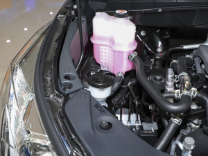 2021款2.0T 两驱精英版 5座 其它