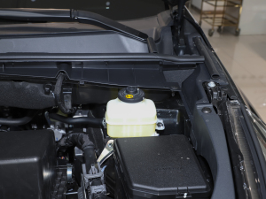 2021款2.0T 两驱精英版 5座 其它