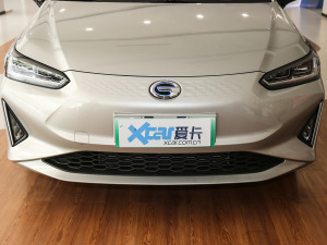 2021款豪华版 中网