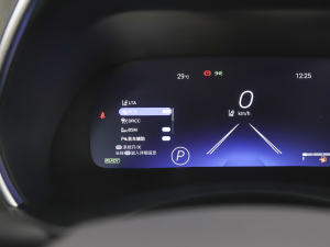 2022p 2.5L (q) 7 п؅^(q)