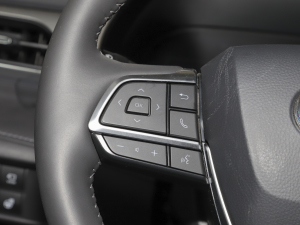 2022p 2.5L (q) 7 п؅^(q)