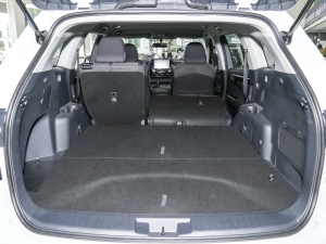 2022p 2.5L 򌾫Ӣ 5 g