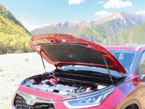 2022p 2.5L  7 lәCœ