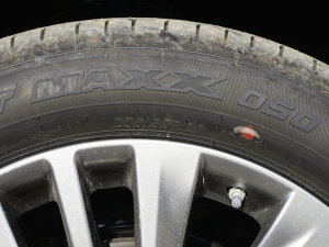 2022p 2.5L A 7 ݆̥ߴ