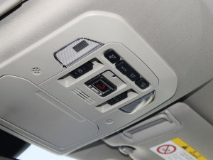 2022p 2.5L A 7 п؅^