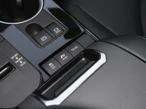 2022p 2.5L A 7 п؅^