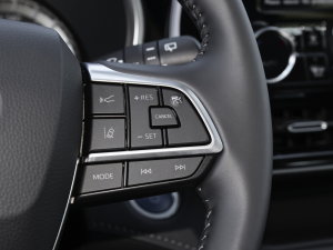 2022p 2.5L A 7 п؅^