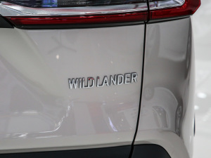 2021款2.0L CVT两驱豪华版  细节外观