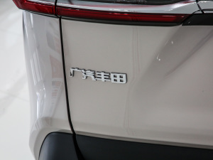 2021款2.0L CVT两驱豪华版  细节外观