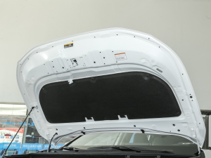 2021p 2.5L E-CVT(q)A 