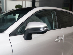 2022款2.0L CVT四驱至尊版 后视镜