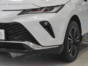 2022款双擎 2.5L CVT两驱尊贵版 前雾灯