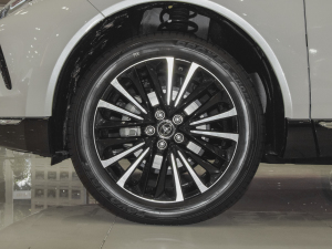 2022款双擎 2.5L CVT两驱尊贵版 轮圈