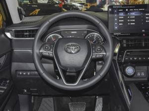 2022款双擎 2.5L CVT两驱尊贵版 方向盘