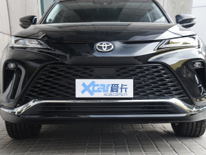 2022款2.0L CVT两驱尊贵版 中网